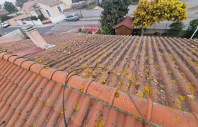 Traitement anti-mousse toiture – Anglet 64600